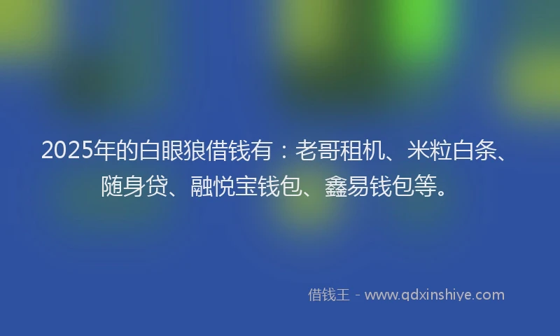 2025年的白眼狼借钱有：老哥租机、米粒白条、随身贷、融悦宝钱包、鑫易钱包等。