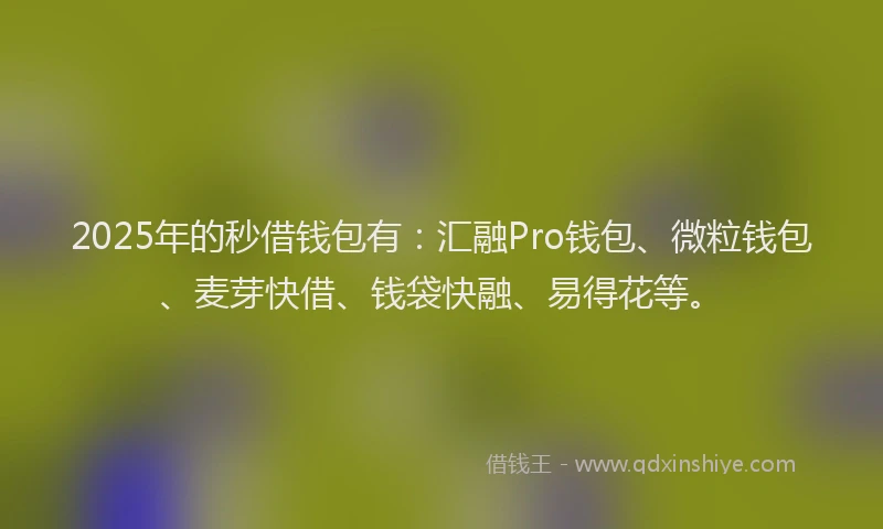 2025年的秒借钱包有：汇融Pro钱包、微粒钱包、麦芽快借、钱袋快融、易得花等。
