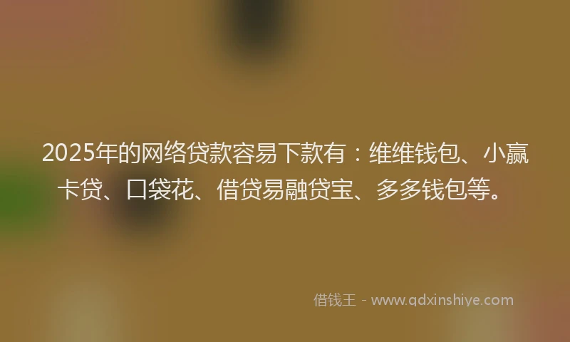 2025年的网络贷款容易下款有：维维钱包、小赢卡贷、口袋花、借贷易融贷宝、多多钱包等。