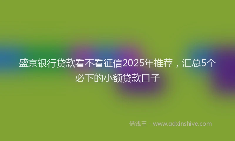 盛京银行贷款看不看征信2025年推荐，汇总5个必下的小额贷款口子