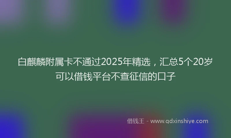 白麒麟附属卡不通过2025年精选，汇总5个20岁可以借钱平台不查征信的口子