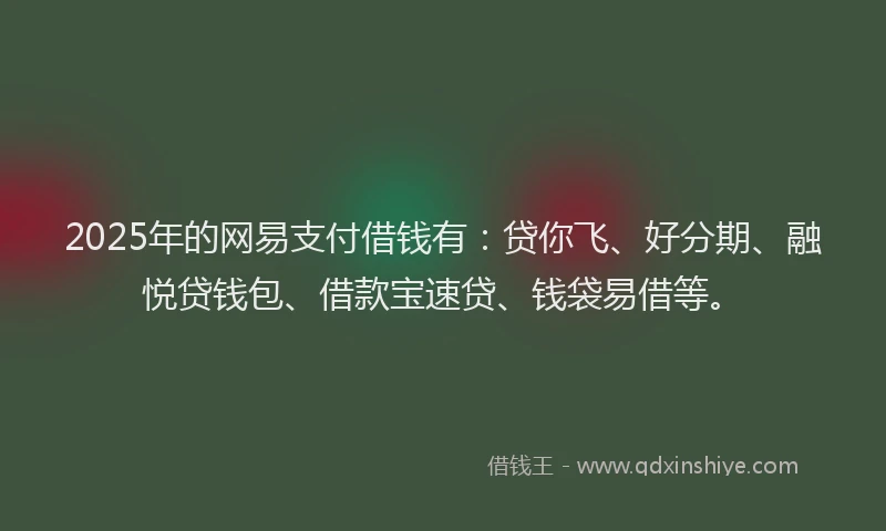2025年的网易支付借钱有：贷你飞、好分期、融悦贷钱包、借款宝速贷、钱袋易借等。
