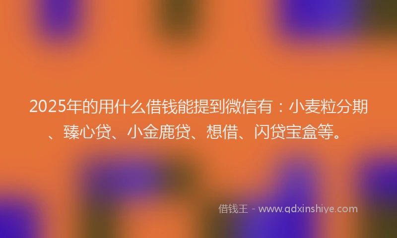 2025年的用什么借钱能提到微信有：小麦粒分期、臻心贷、小金鹿贷、想借、闪贷宝盒等。