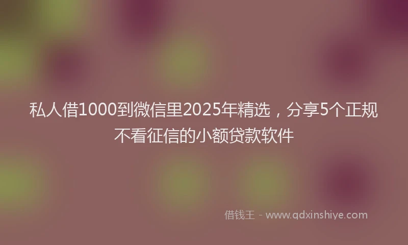 私人借1000到微信里2025年精选，分享5个正规不看征信的小额贷款软件