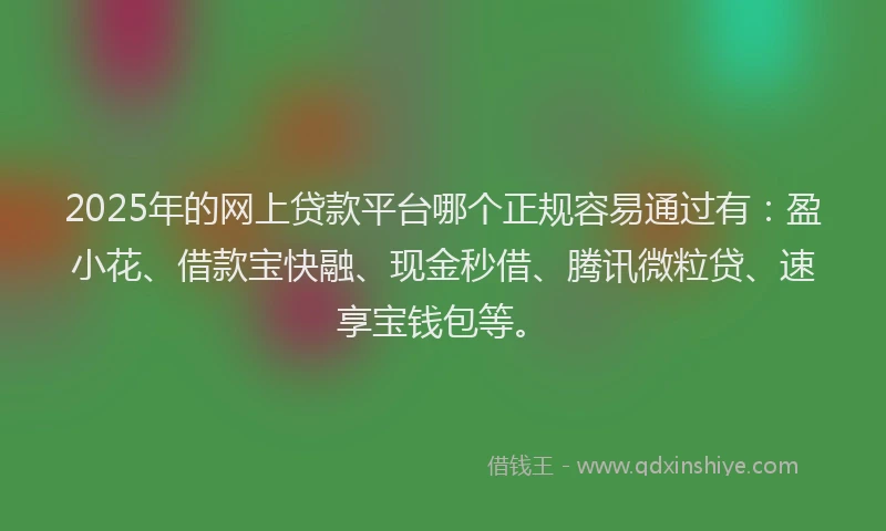 2025年的网上贷款平台哪个正规容易通过有：盈小花、借款宝快融、现金秒借、腾讯微粒贷、速享宝钱包等。