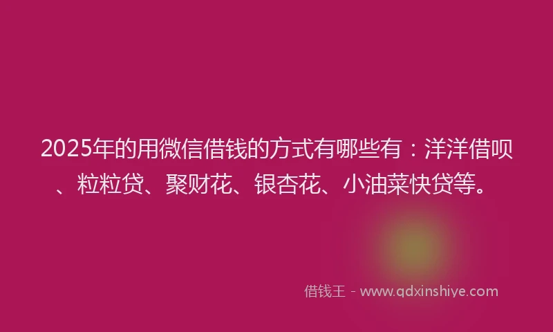 2025年的用微信借钱的方式有哪些有：洋洋借呗、粒粒贷、聚财花、银杏花、小油菜快贷等。
