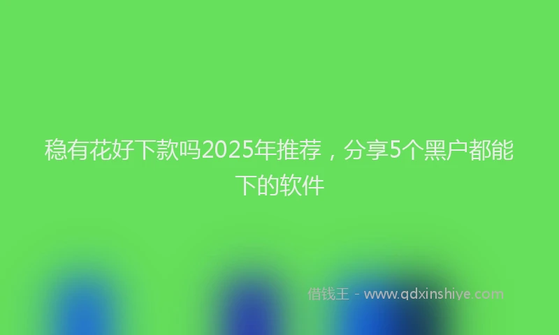 稳有花好下款吗2025年推荐，分享5个黑户都能下的软件