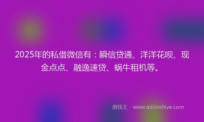 2025年的私借微信有：瞬信贷通、洋洋花呗、现金点点、融逸速贷、蜗牛租机等。