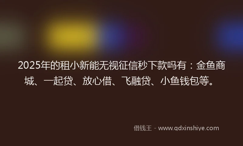 2025年的租小新能无视征信秒下款吗有：金鱼商城、一起贷、放心借、飞融贷、小鱼钱包等。