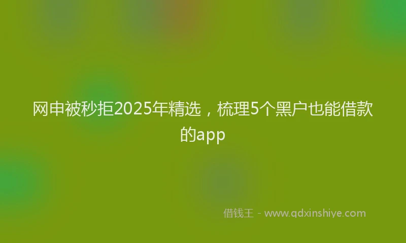 网申被秒拒2025年精选，梳理5个黑户也能借款的app