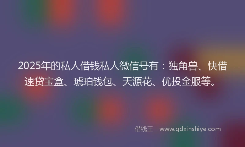 2025年的私人借钱私人微信号有：独角兽、快借速贷宝盒、琥珀钱包、天源花、优投金服等。