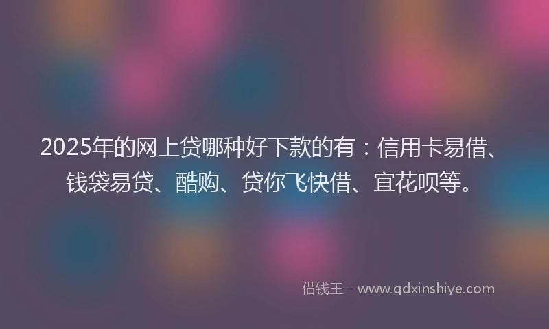 2025年的网上贷哪种好下款的有：信用卡易借、钱袋易贷、酷购、贷你飞快借、宜花呗等。