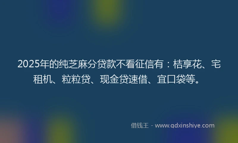 2025年的纯芝麻分贷款不看征信有：桔享花、宅租机、粒粒贷、现金贷速借、宜口袋等。