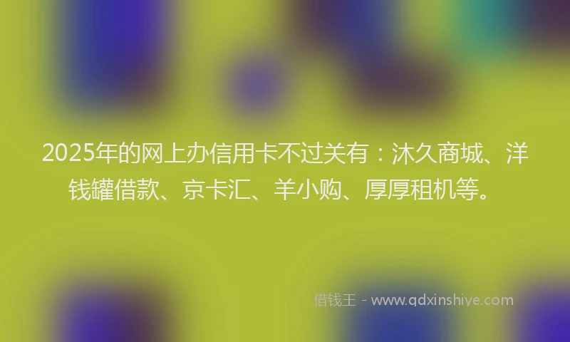2025年的网上办信用卡不过关有：沐久商城、洋钱罐借款、京卡汇、羊小购、厚厚租机等。
