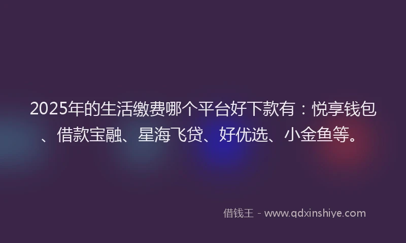 2025年的生活缴费哪个平台好下款有：悦享钱包、借款宝融、星海飞贷、好优选、小金鱼等。