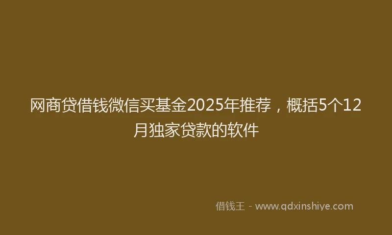 网商贷借钱微信买基金2025年推荐，概括5个12月独家贷款的软件