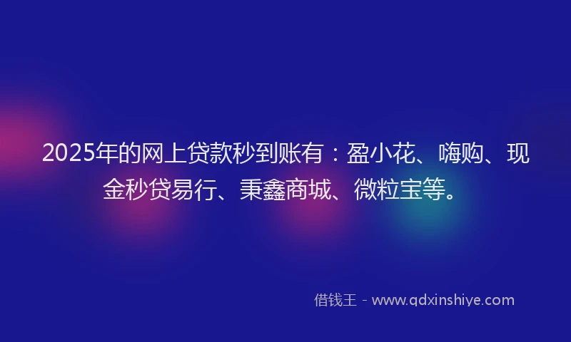 2025年的网上贷款秒到账有：盈小花、嗨购、现金秒贷易行、秉鑫商城、微粒宝等。