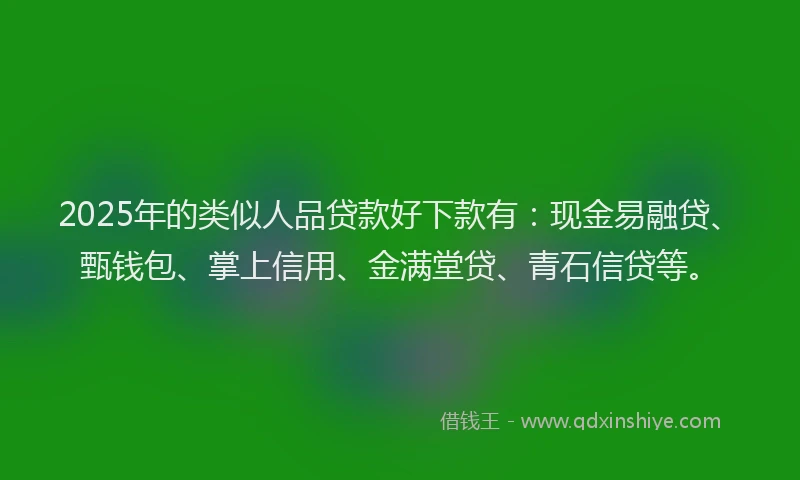 2025年的类似人品贷款好下款有：现金易融贷、甄钱包、掌上信用、金满堂贷、青石信贷等。