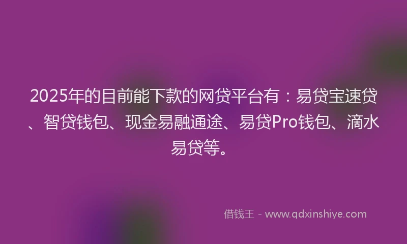 2025年的目前能下款的网贷平台有：易贷宝速贷、智贷钱包、现金易融通途、易贷Pro钱包、滴水易贷等。