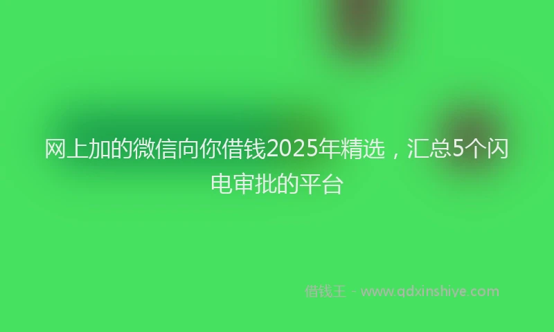 网上加的微信向你借钱2025年精选，汇总5个闪电审批的平台