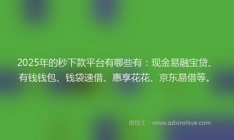 2025年的秒下款平台有哪些有：现金易融宝贷、有钱钱包、钱袋速借、惠享花花、京东易借等。