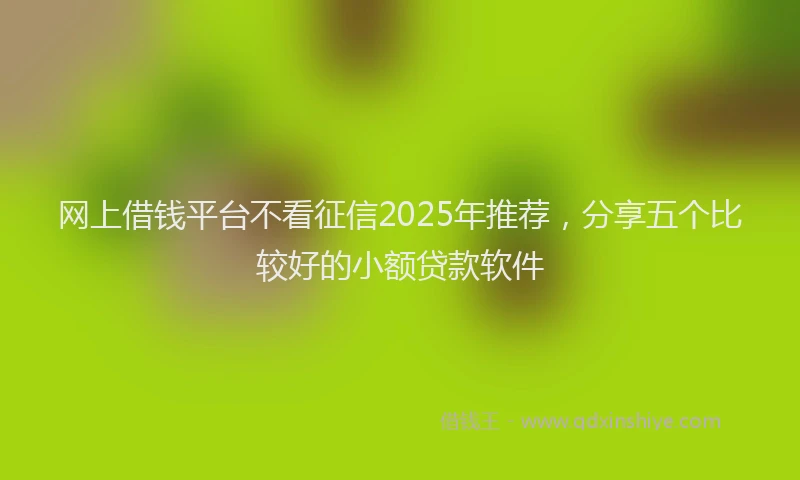 网上借钱平台不看征信2025年推荐，分享五个比较好的小额贷款软件