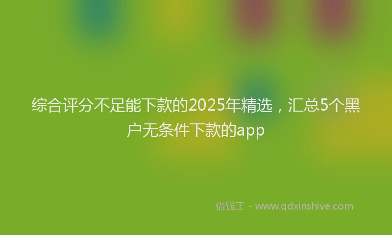 综合评分不足能下款的2025年精选，汇总5个黑户无条件下款的app