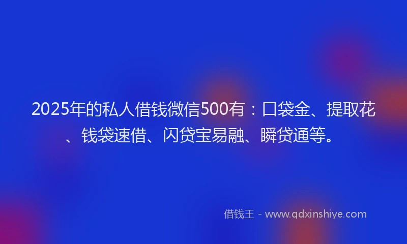 2025年的私人借钱微信500有：口袋金、提取花、钱袋速借、闪贷宝易融、瞬贷通等。