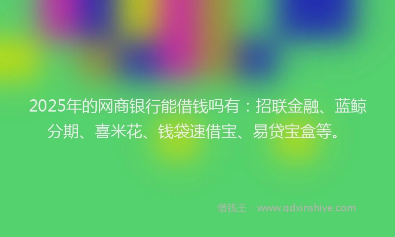 2025年的网商银行能借钱吗有：招联金融、蓝鲸分期、喜米花、钱袋速借宝、易贷宝盒等。