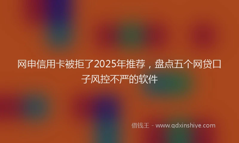 网申信用卡被拒了2025年推荐，盘点五个网贷口子风控不严的软件