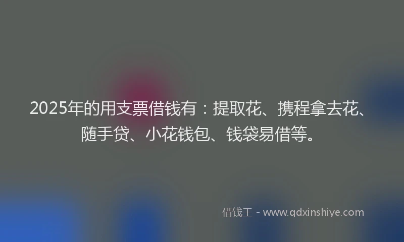 2025年的用支票借钱有：提取花、携程拿去花、随手贷、小花钱包、钱袋易借等。
