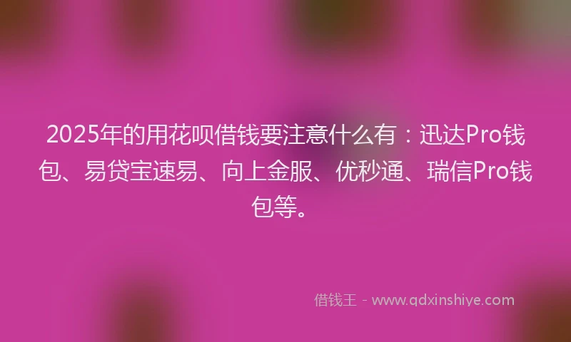 2025年的用花呗借钱要注意什么有：迅达Pro钱包、易贷宝速易、向上金服、优秒通、瑞信Pro钱包等。