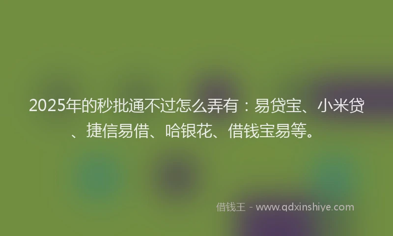 2025年的秒批通不过怎么弄有：易贷宝、小米贷、捷信易借、哈银花、借钱宝易等。