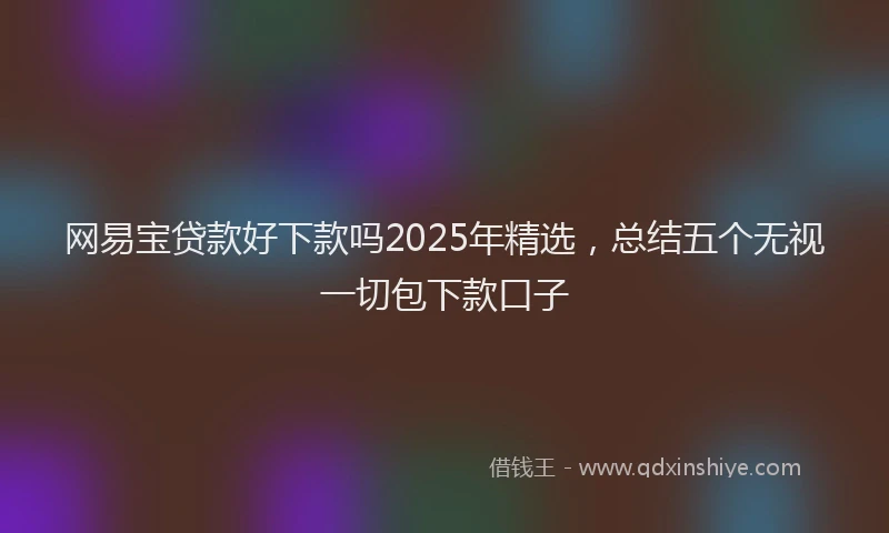 网易宝贷款好下款吗2025年精选，总结五个无视一切包下款口子