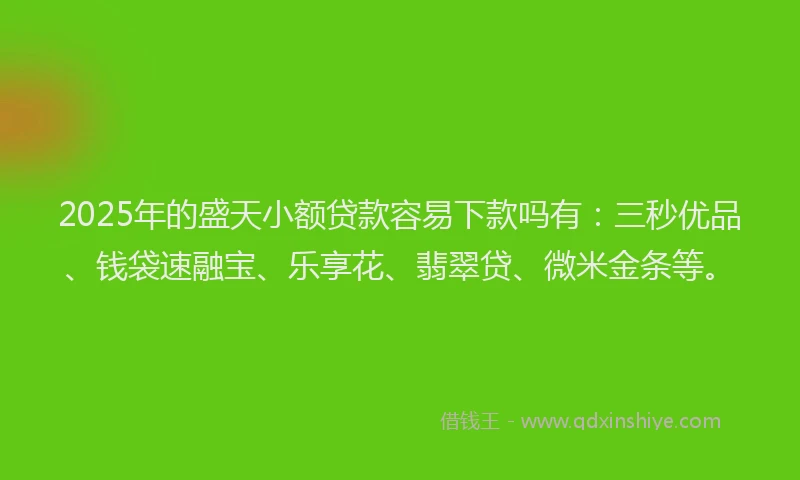 2025年的盛天小额贷款容易下款吗有：三秒优品、钱袋速融宝、乐享花、翡翠贷、微米金条等。