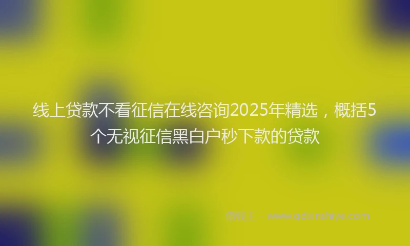 线上贷款不看征信在线咨询2025年精选，概括5个无视征信黑白户秒下款的贷款