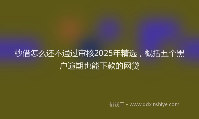 秒借怎么还不通过审核2025年精选，概括五个黑户逾期也能下款的网贷