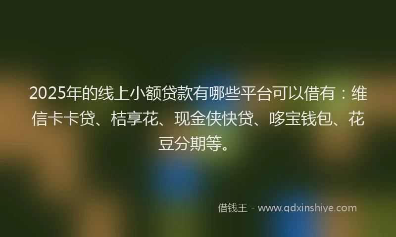 2025年的线上小额贷款有哪些平台可以借有：维信卡卡贷、桔享花、现金侠快贷、哆宝钱包、花豆分期等。