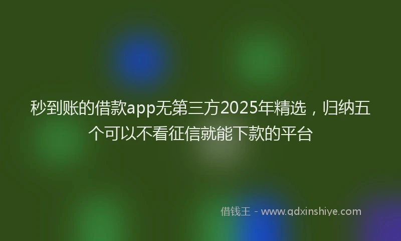 秒到账的借款app无第三方2025年精选，归纳五个可以不看征信就能下款的平台