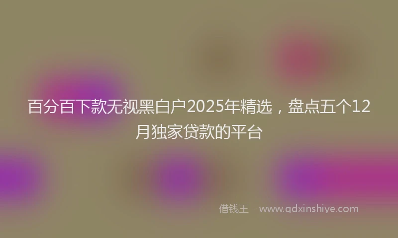 百分百下款无视黑白户2025年精选，盘点五个12月独家贷款的平台