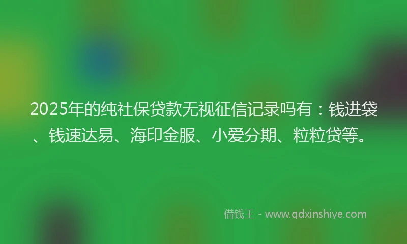 2025年的纯社保贷款无视征信记录吗有：钱进袋、钱速达易、海印金服、小爱分期、粒粒贷等。