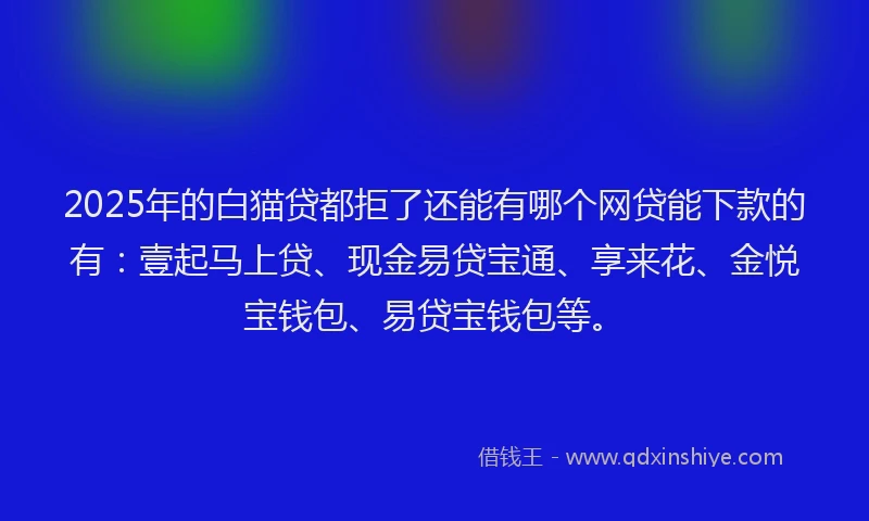 2025年的白猫贷都拒了还能有哪个网贷能下款的有：壹起马上贷、现金易贷宝通、享来花、金悦宝钱包、易贷宝钱包等。