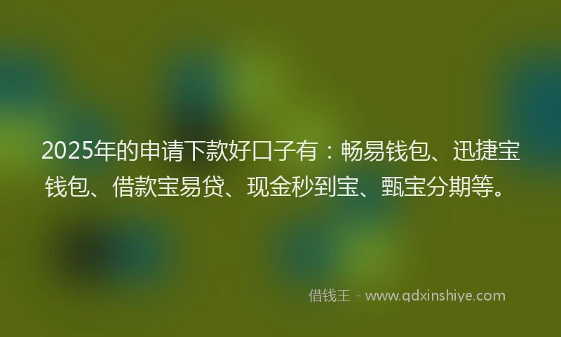 2025年的申请下款好口子有：畅易钱包、迅捷宝钱包、借款宝易贷、现金秒到宝、甄宝分期等。