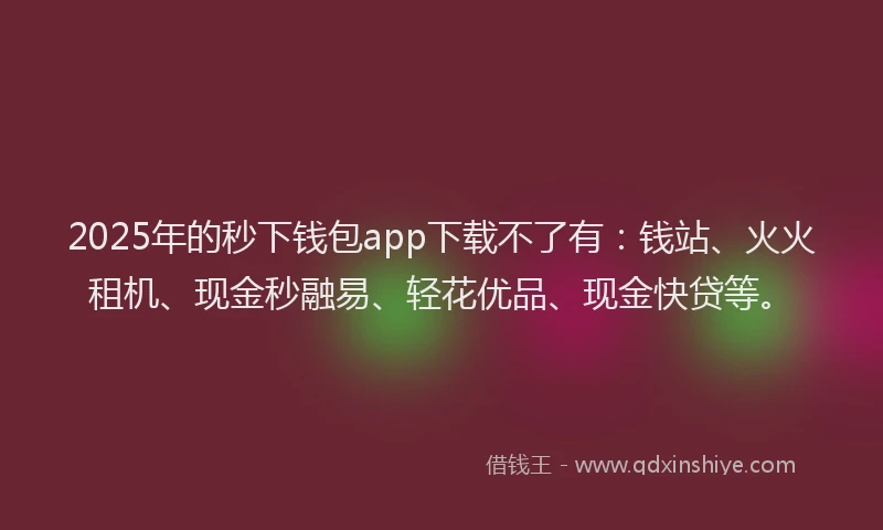 2025年的秒下钱包app下载不了有：钱站、火火租机、现金秒融易、轻花优品、现金快贷等。