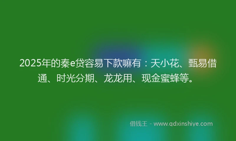 2025年的秦e贷容易下款嘛有：天小花、甄易借通、时光分期、龙龙用、现金蜜蜂等。