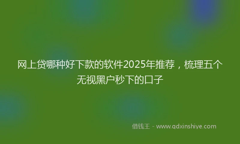 网上贷哪种好下款的软件2025年推荐，梳理五个无视黑户秒下的口子