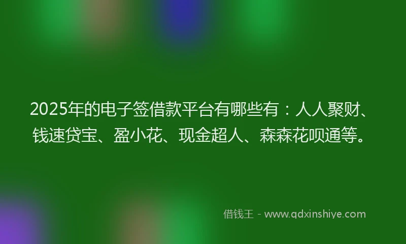 2025年的电子签借款平台有哪些有：人人聚财、钱速贷宝、盈小花、现金超人、森森花呗通等。