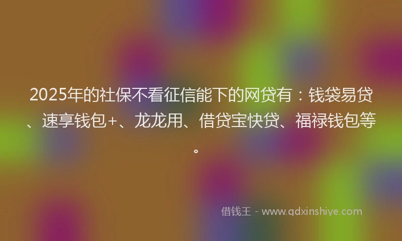 2025年的社保不看征信能下的网贷有：钱袋易贷、速享钱包+、龙龙用、借贷宝快贷、福禄钱包等。