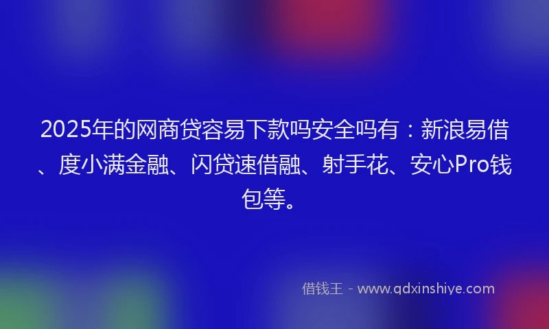 2025年的网商贷容易下款吗安全吗有：新浪易借、度小满金融、闪贷速借融、射手花、安心Pro钱包等。