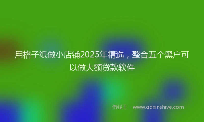 用格子纸做小店铺2025年精选，整合五个黑户可以做大额贷款软件